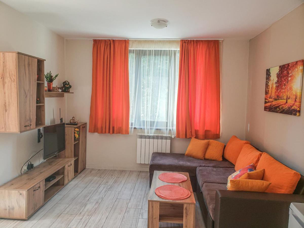 Lovely Borovets Apartment Kültér fotó